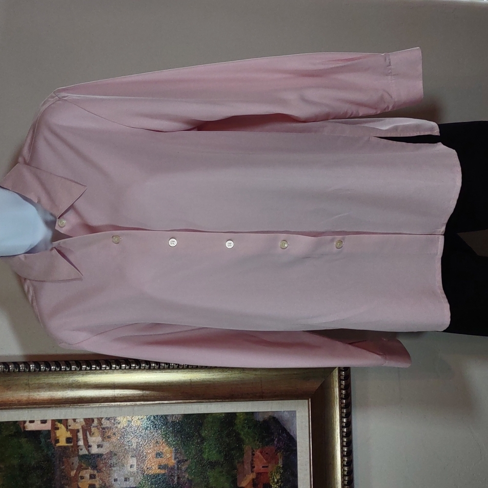 Blush Pink Rayon Blend Shirt by Liz Claiborne Petite